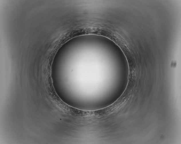 X0000091090961200708131316