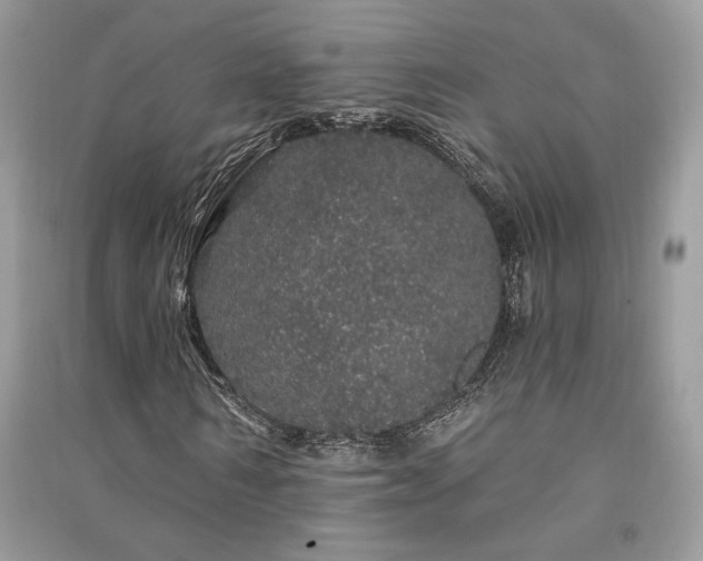 X0000091090962200708131316
