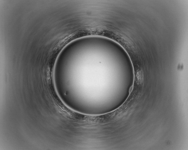 X0000091090963200708131316