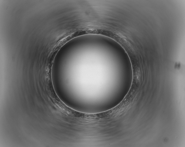 X0000091090964200708131316