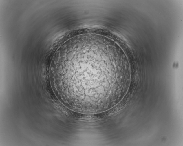 X0000091090966200708131316
