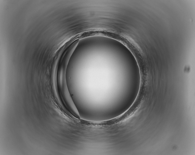 X0000091090969200708131316