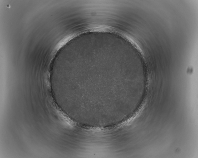 X0000091090970200708131316