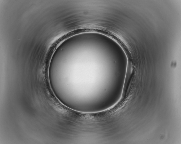 X0000091090971200708131316