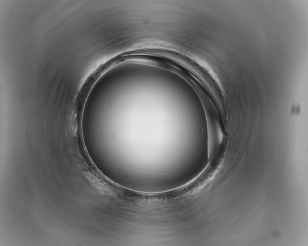 X0000091090973200708131316