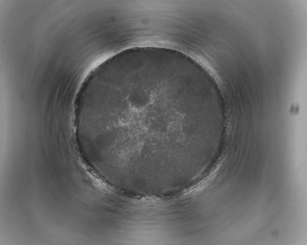 X0000091090974200708131316
