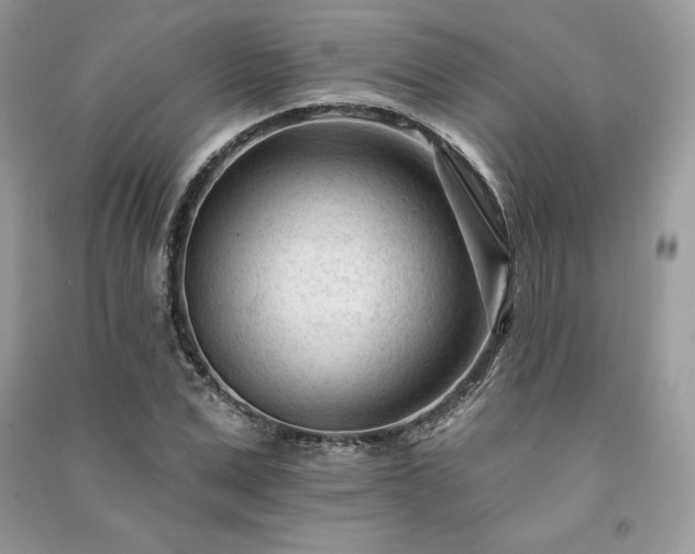 X0000091090975200708131316