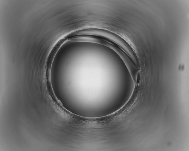 X0000091090976200708131316