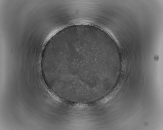 X0000091090978200708131316