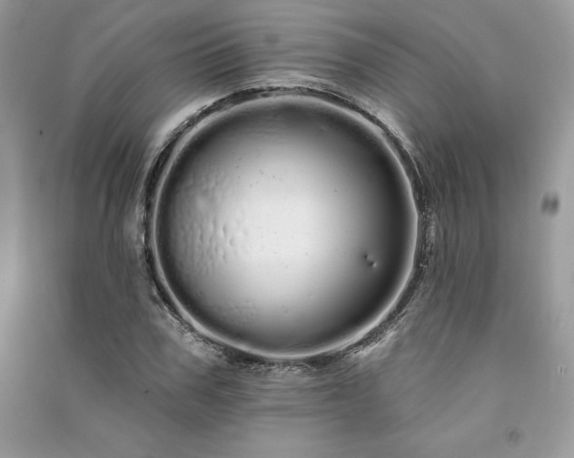 X0000091090979200708131316