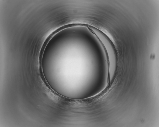 X0000091090980200708131316