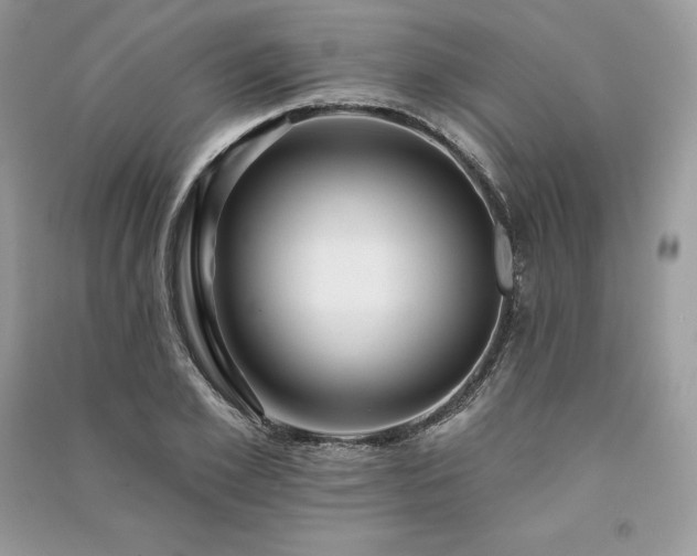 X0000091090981200708131316