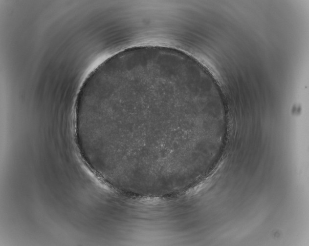 X0000091090982200708131316
