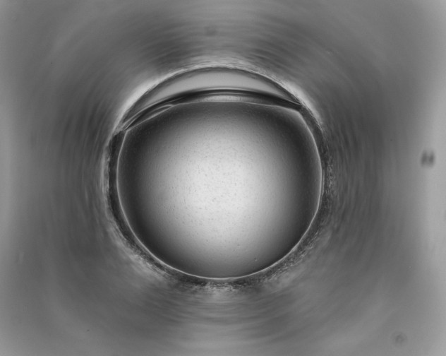 X0000091090983200708131316
