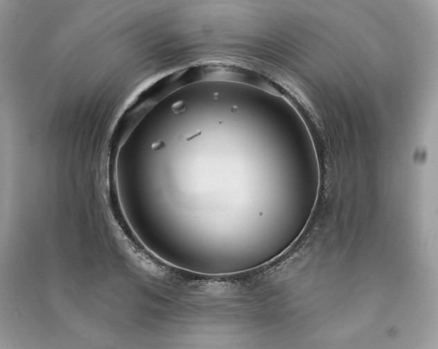 X0000091090984200708131316