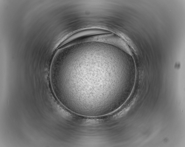 X0000091090985200708131316