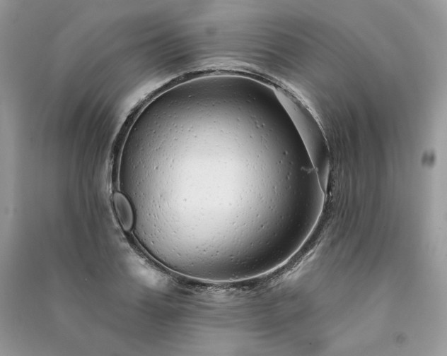X0000091090987200708131316