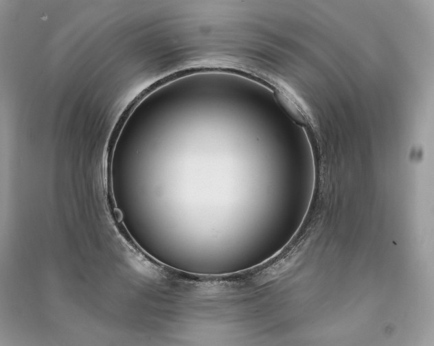 X0000091090988200708131316