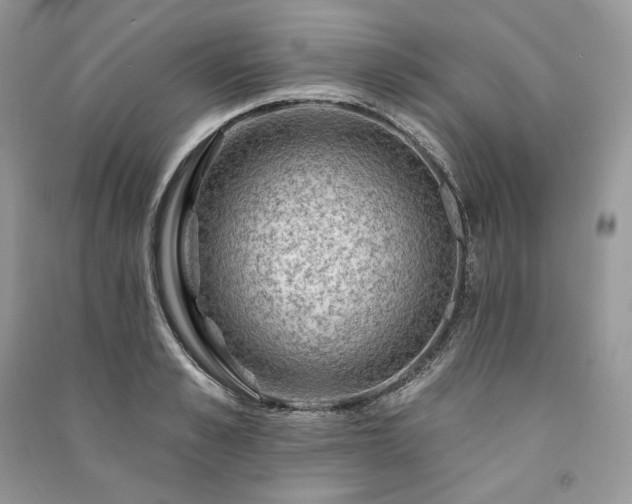 X0000091090989200708131316
