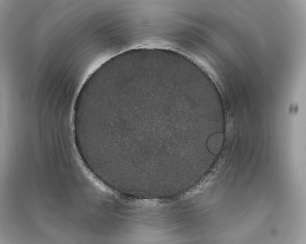 X0000091090990200708131316