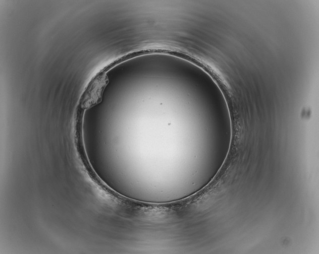 X0000091090991200708131316