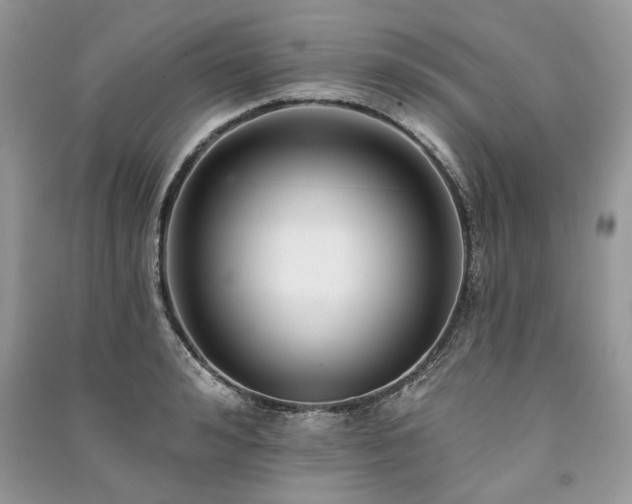 X0000091090992200708131316
