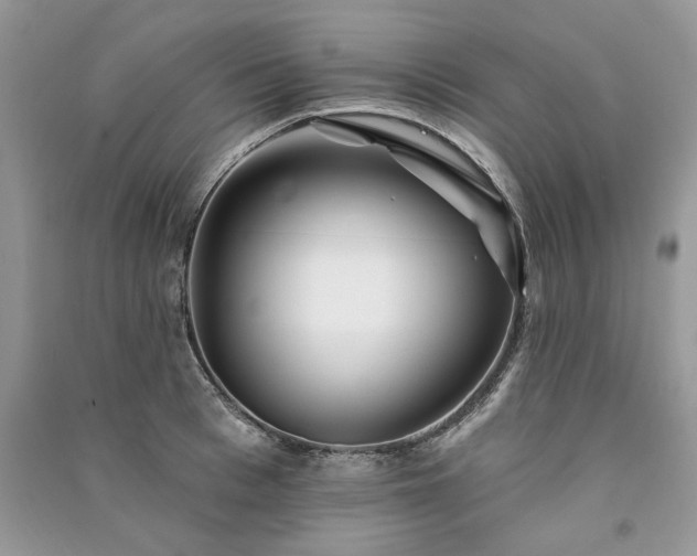 X0000091090993200708131316