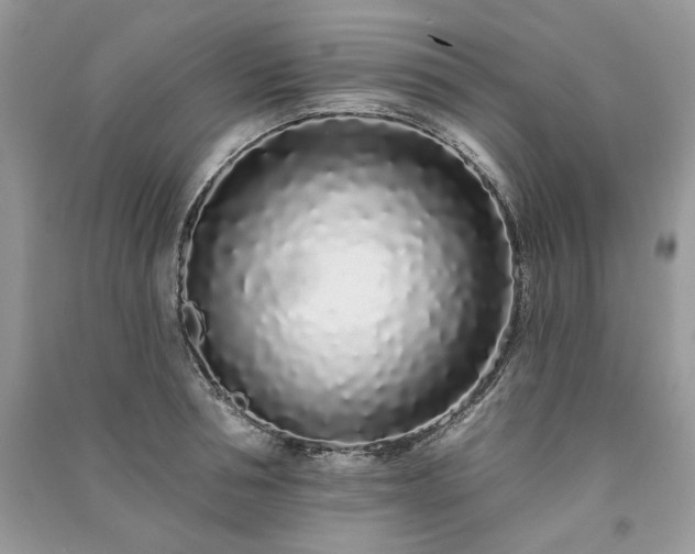 X0000091090994200708131316