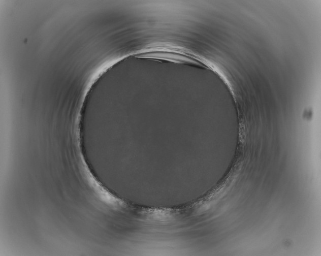 X0000091090995200708131315