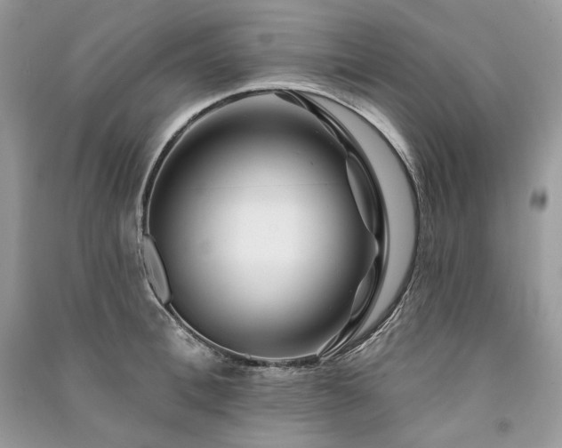 X0000091090996200708131315