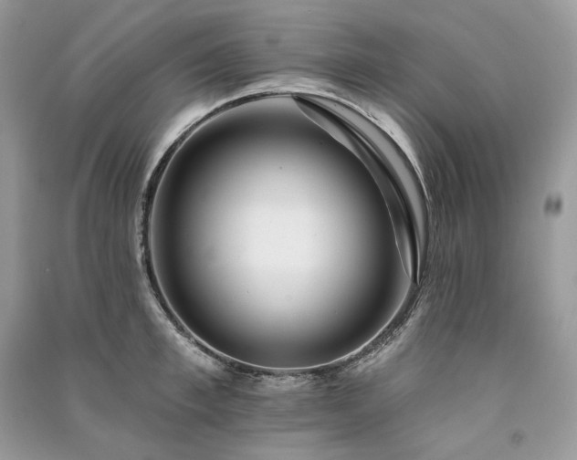 X0000091090997200708131315