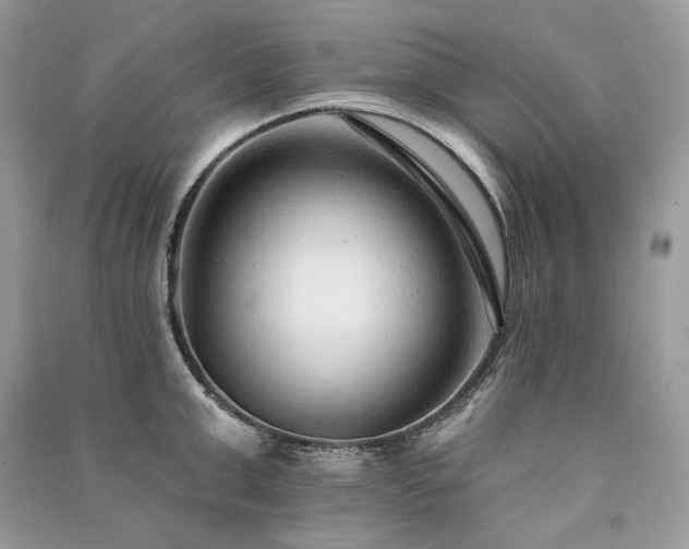 X0000091090999200708131315