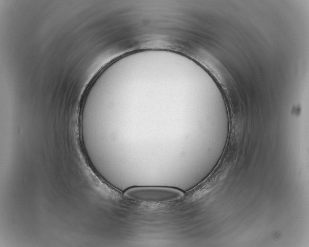 X0000091091000200708131315