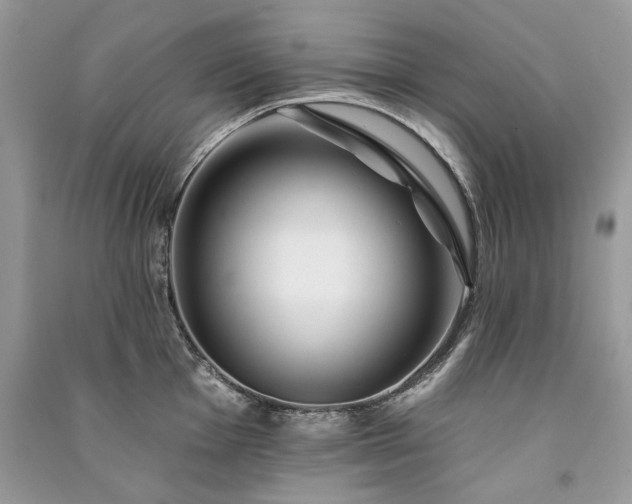 X0000091091001200708131315