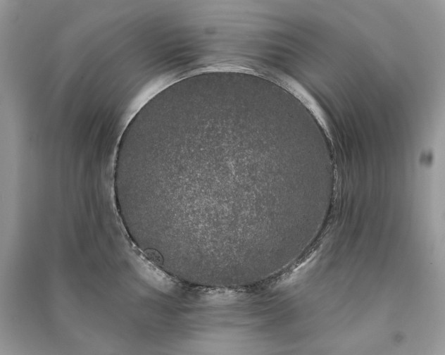 X0000091091002200708131315