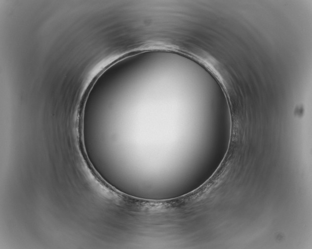 X0000091091003200708131315