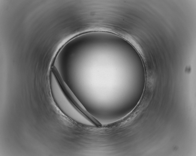 X0000091091004200708131315