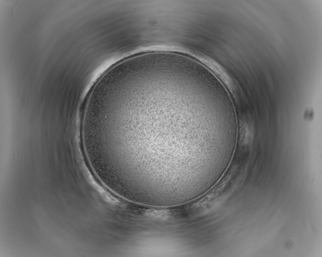 X0000091091006200708131315
