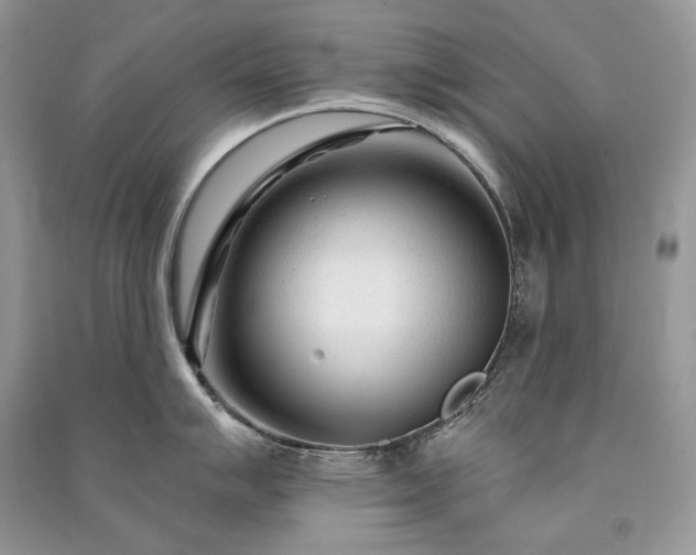 X0000091091007200708131315