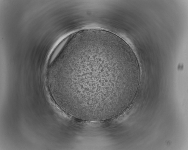 X0000091091008200708131315
