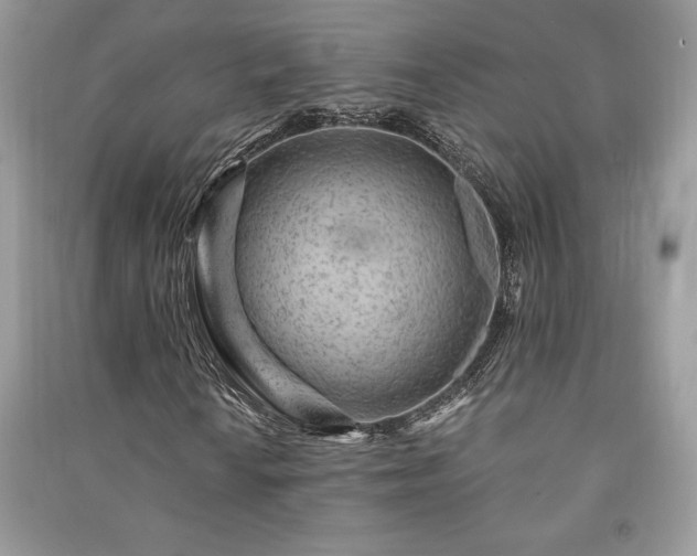 X0000091091010200708131314