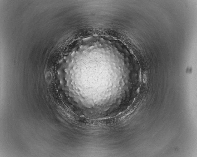 X0000091091011200708131315