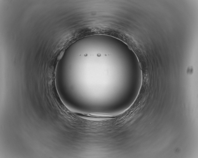 X0000091091012200708131315