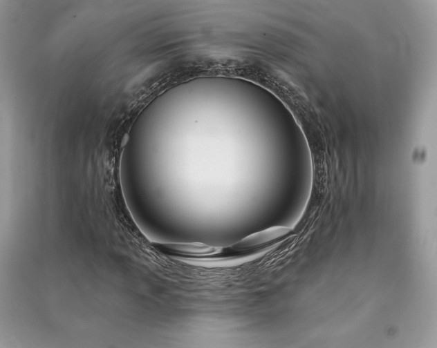 X0000091091013200708131315