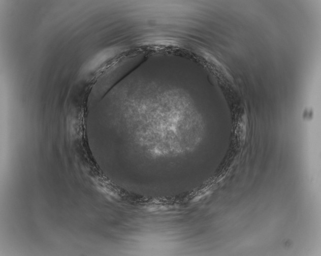 X0000091091014200708131315