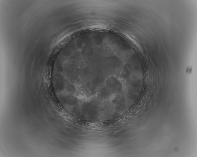 X0000091091015200708131315