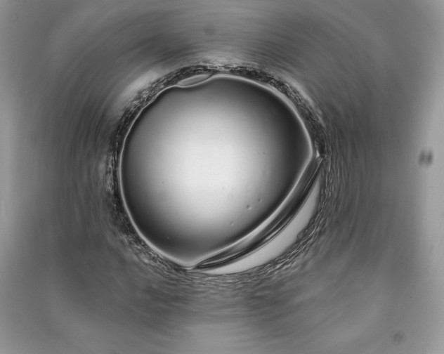 X0000091091016200708131315