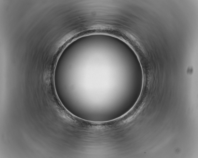 X0000091091017200708131315