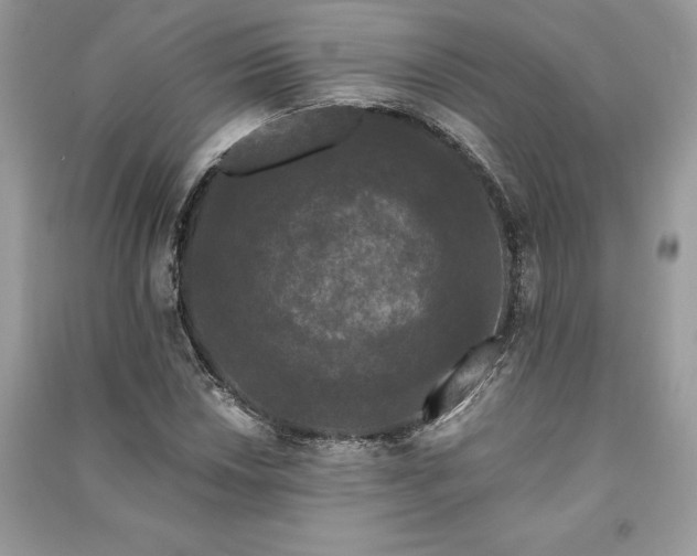 X0000091091018200708131315