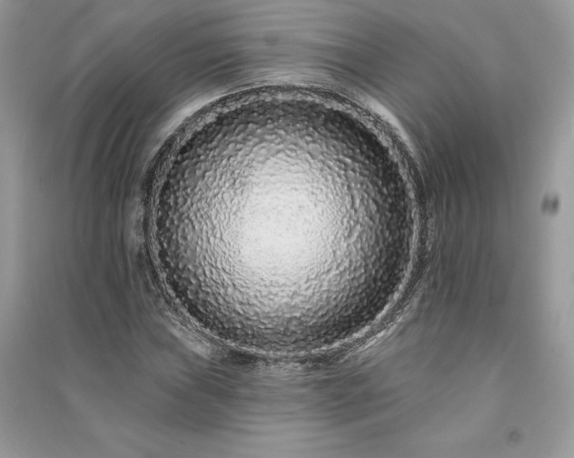 X0000091091019200708131315